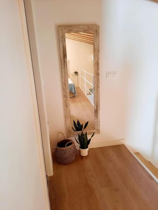 Loft Centrico Con Patio Bodega San Javier Appartement Jerez de la Frontera Buitenkant foto