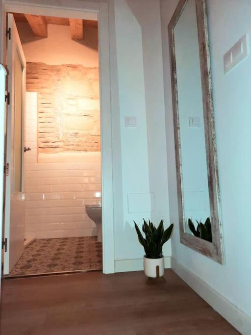 Loft Centrico Con Patio Bodega San Javier Appartement Jerez de la Frontera Buitenkant foto